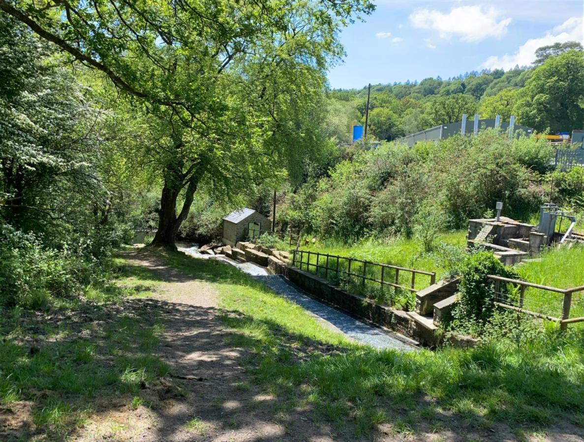 Old Co Op House -Forest Of Dean Bream Dış mekan fotoğraf